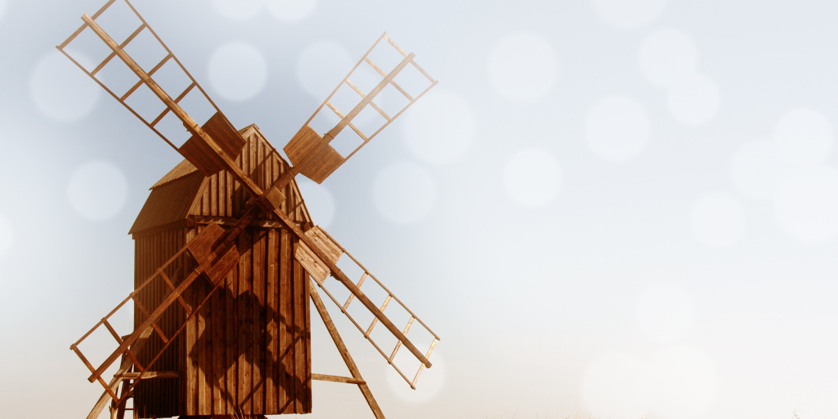 Understanding 30-Day Payday Loans No Credit Check: A Complete Information