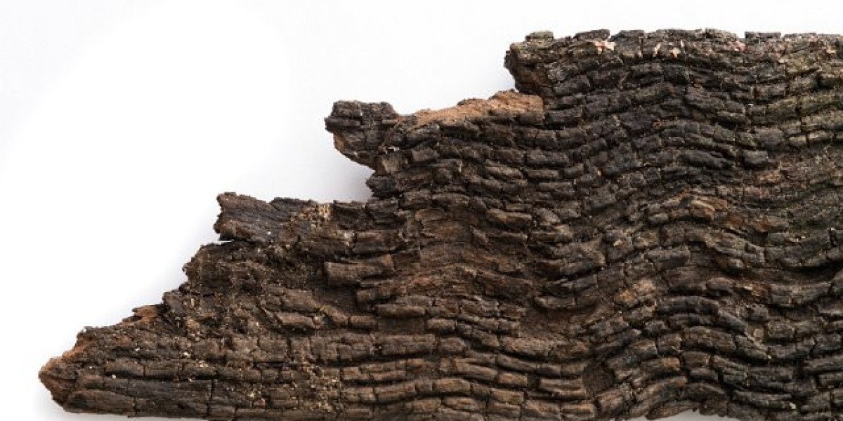 Top List of Australian Casinos Expert Picks for 2025